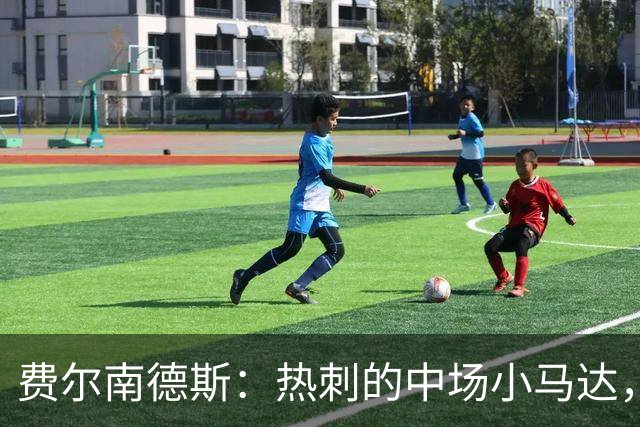 费尔南德斯：热刺的中场小马达，统治切尔西的战场